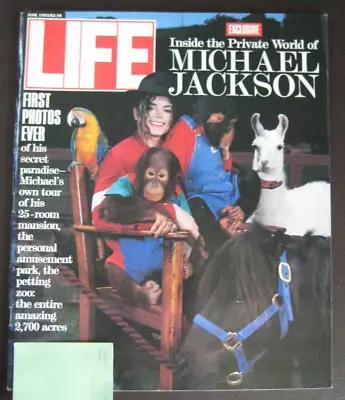 LIFE MAGAZINE June 1993 Exclusive Inside The Private World Of MICHAEL JACKSON • $7.99