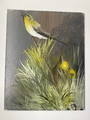 Vintage Oil On Board Of A Yellow Wagtail & Dandelions By D. Hinge Newquay Artis • £22.95