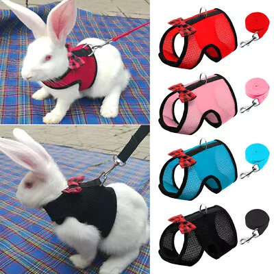 Mesh Ferret Rabbit Guinea Pig Harness And Lead Set Adjustable Small Animal S M L • £6.59