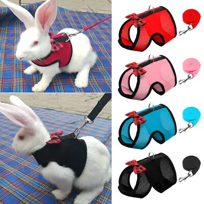 Rabbit Harness And Lead Set Adjustable For Small Animals Ferrets Piggies Walking • £7.19