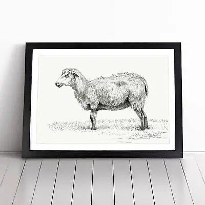 Standing Sheep Animal Vintage Jean Bernard Wall Art Print Framed Canvas Picture • $21.10