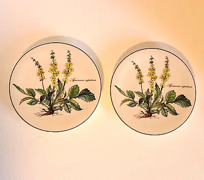 Villeroy & Boch Botanica ROUND Trivet TEA TILE Floral Agrimonia Eupatoria SET 2 • $29.99