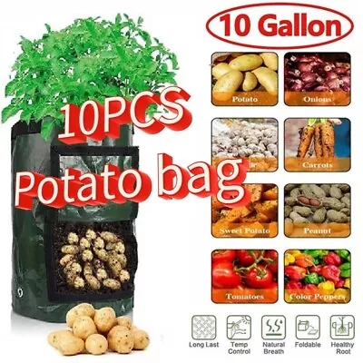 10PCS -10 Gallon Potato Grow Bag Vegetable Grow Container Garden Grow Container • £21.99