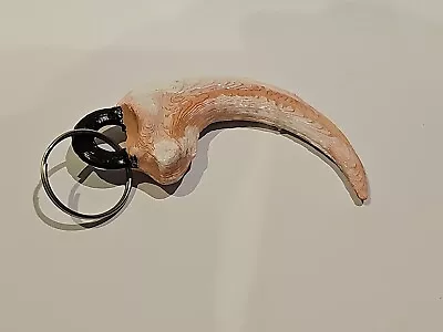 Painted Velociraptor Claw Keyring Keychain Dinosaur Jurassic Park Fossil  • £4.99