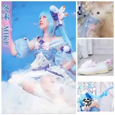 Hatsune Miku End Of Winter Cosplay Full Set Wig Tools • $317.39