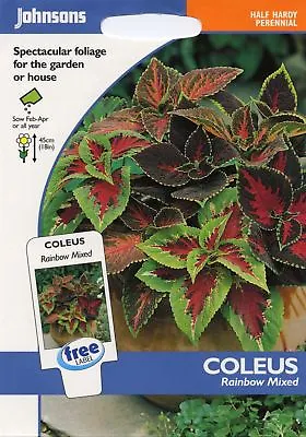 Johnsons Seeds - Pictorial Pack - Flower - Coleus Rainbow Mixed - 100 Seeds • £2.40