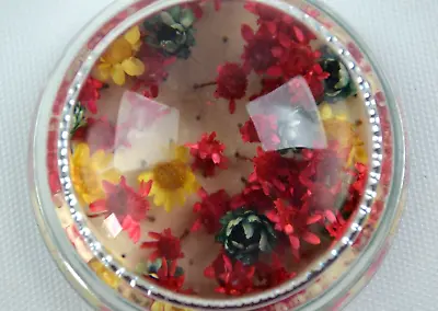 Glass Domed Paperweight Magnifying Picture Holder Clear Dried Flowers 3  Across • $21.24