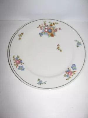 Mayer China Beaver Falls PA 11  Serving Plate Skytop Lodge Pattern • $13.49