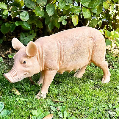 Rashy The Pig Garden Ornament Resin Pink Large Farm Animal Lawn Patio Sculpture • £40