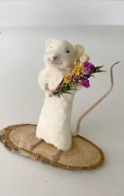 Taxidermy Dried Flowers Mouse Oddities Curiosity Homeware  • £35