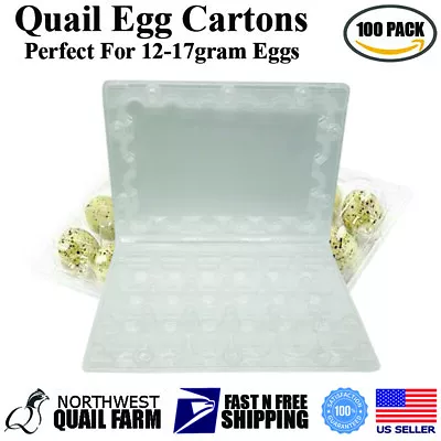 Jumbo Quail Egg Cartons 24 Cell (4x6) 100pcs - Secure Snap Close Fast Shipping • $56.95