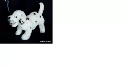 Retired And New My Twinn Dalmatian Poseable Puppy Dog  • $34.99