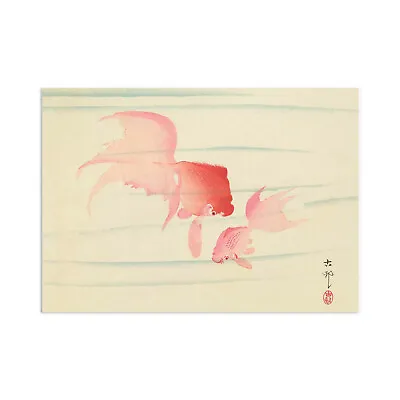 Japanese Ukiyo-e Wall Art Print Poster Woodblock Koson Goldfish Koi Carp Pretty • £9.95