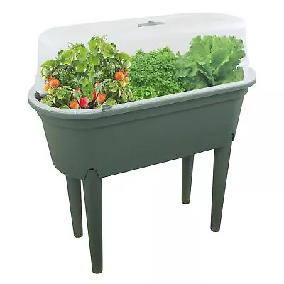 Raised Planter With Lid Greenhouse Table Garden Bed Green Vegetable Growing  Box • £29.99