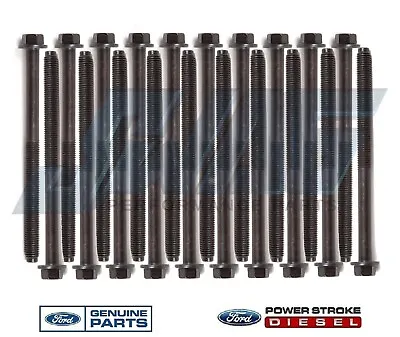 $99.95 • Buy Genuine Ford OEM 6.0 6.0L Powerstroke Diesel Cylinder Head Bolts VT365 (2 SETS)