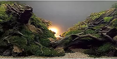 River Bed & Lake Aquarium Background Sunshine Aquatic Plant Fish Tank Background • $18.67