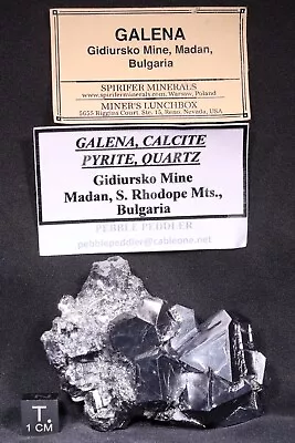 Mirror Luster Galena Crystals From Gidiursko Mine Madan Bulgaria - 200 Gm • $199.99