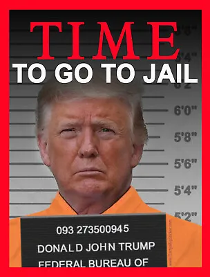 Time To Go To Jail BUMPER STICKER Or MAGNET  Anti Trump Funny Prison Mugshot • $4.49