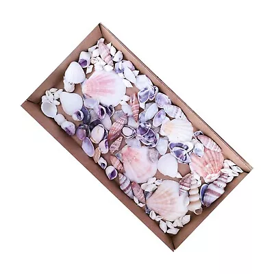 White/Purple/Pink Small Mixed Seashells 100+ SHELLS (Mix #MX) Beach Shell Craft  • £6.99