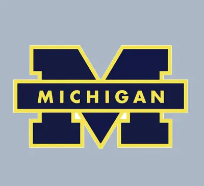 Car Magnet - Michigan Wolverines NCAA College Football - MAGNET • $6.50