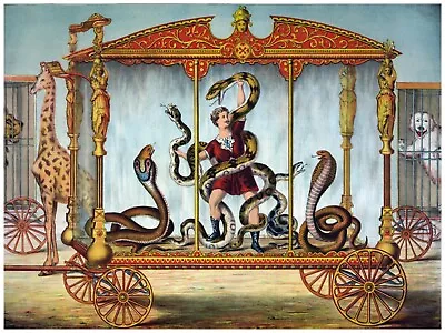 4493.Decoration Poster.Home Interior Design.Wall Decor.Circus Man In Cage.Snakes • $57