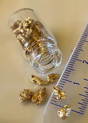 Genuine Natural Small Western Australian Gold Nuggets; 7.00 Grams In Vial • $1050