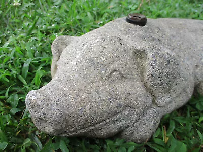 Adorable & Unique Weathered Vintage Cement/concrete Pig/hog Garden Sprinkler • $144.50