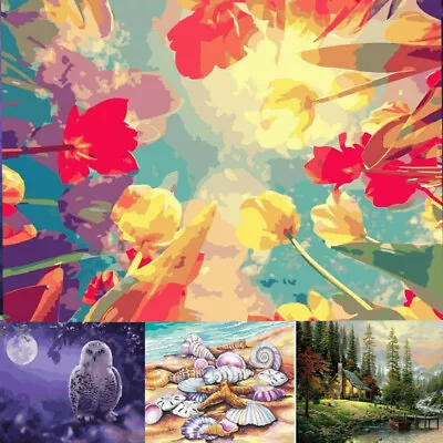 DIY Oil Painting Summer Flower By Numbers Kit Paint On Canvas For Adult + Frame • £4.45