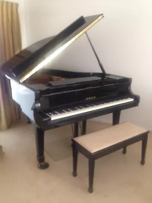 Yamaha Grand Piano C3 + Bench • $10000