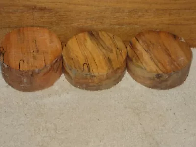 3pc  Spalted Missouri Maple Turning Wood Bowl Blank • $12
