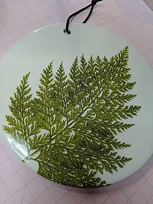 Ceramic 14  Trivet/Tile W/ Fern Design & Hole For Hanging  • $30