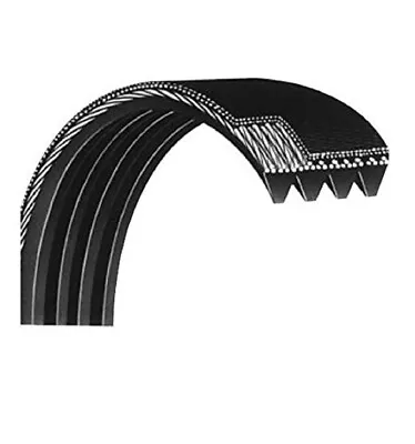 PaceMaster Pro Select Elite Pro Plus 2 Treadmill Main Drive Belt 26  • $19.99