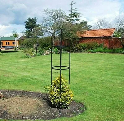 £9.99 • Buy Obelisk Metal Garden Climbing Plant 1.9m Flowers Steel Frame 