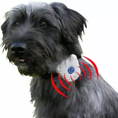 Mini Anti Bark Dog Training Aid Collar Stop Barking Control Ultrasonic Sound • £4.97