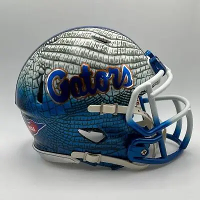 Florida Gators CUSTOM 2-Tone Hydro-Dipped GATOR Skin Mini Football Helmet • $140