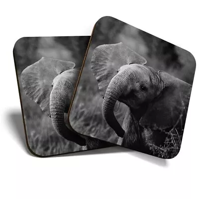 £4.99 • Buy 2 X Coasters (BW) - Baby Elephant Wild Animal  #35670