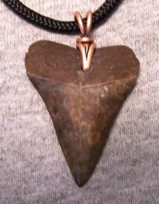 Mako Shark Tooth Fossil Teeth Necklace  1 3/4  Wireless Polished Megalodon Jaw • $36