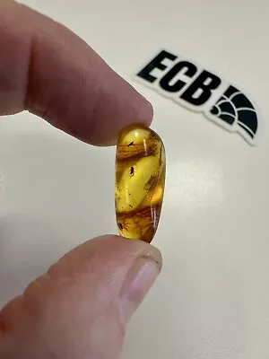 Baltic Amber With Mosquito Inclusion. 100% Real No Fakes. Uk Seller 🇬🇧 • £19.99