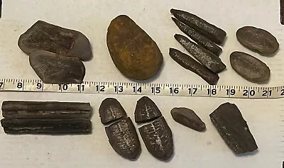 HUGE LOT MAZON CREEK FOSSIL LOT 17 Pieces- Plants Ferns Leaves 309M Years Old • $9.99