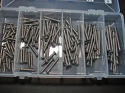 150 Chevy Buick GM #8 W/#6 Phillips Oval Head Stainless Trim Screws Assortment • $52.99