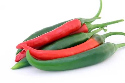 CHILLI Pepper JALAPEÑO Seeds High Yielding Green Maturing To Red Pepper • £1.75