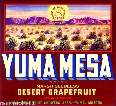 Yuma Mesa #2 Arizona Grapefruit Citrus Fruit Crate Label Vintage Art Print • $11.19