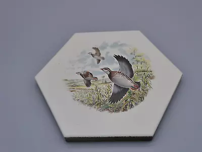 $14 • Buy Vintage Partridge Quail Tile Trivet Game Bird Felted Hexagon Shape Brick 7.5 