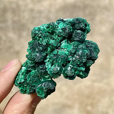 53G Natural Green Malachite Crystal Flaky Pattern Ore Specimen Quartz Healing • $0.99