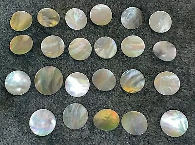 23 Abalone Shell Buttons • $39