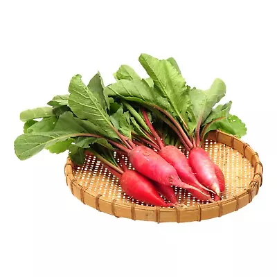 Radish CHINA ROSE 50 Seeds HEIRLOOM Vegetable Garden ALL SEASON Winter Hardy VEG • $4.99