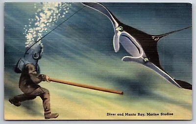 Marineland Studios Florida~Deep Sea Diver~Manta Ray Devil Fish Attack~1940 Linen • $8