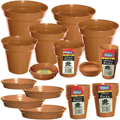 Packs Of Plastic Terracotta Plant Pots Garden Flowers Plants Or Range Of Saucers • £32