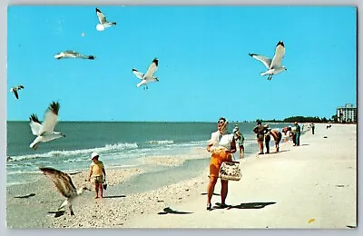 Marco Island Florida - Flying Sea Gull On The Beach - Vintage Postcard • $6.79