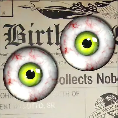 Green Monster Eyes Realistic Glass Taxidermy Eyeball 16mm Set • $8.99